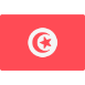Tunisia flag icon